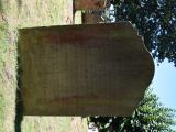 image of grave number 816715